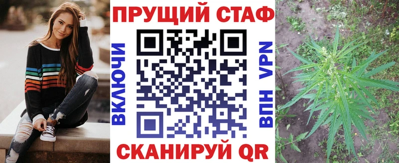 Псилоцибиновые грибы Дорогобуж