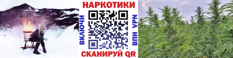 Купить Дорогобуж A PVP  КЕТАМИН  ГАШИШ  МАРИХУАНА  АМФЕТАМИН  COCAIN  Мефедрон 