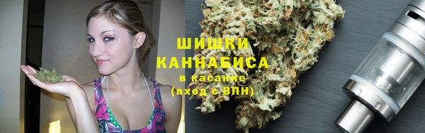 гашик Горняк