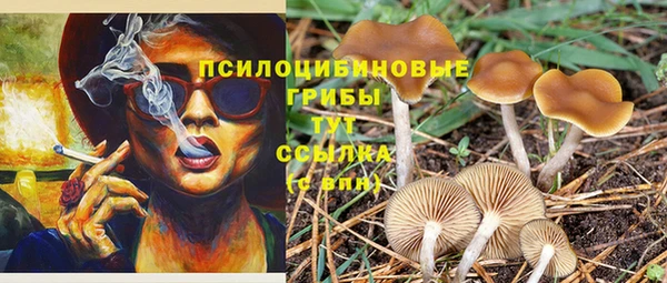 спиды Вязьма