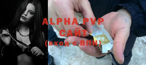 гашик Горняк