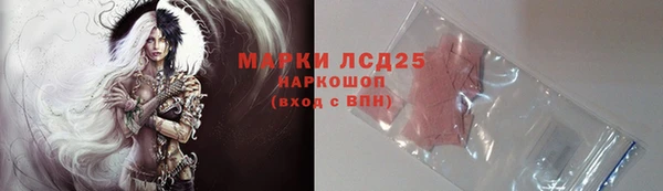 гашик Горняк