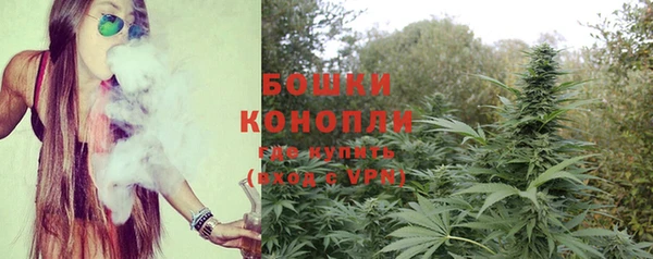 гашик Горняк