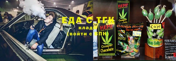 гашик Горняк