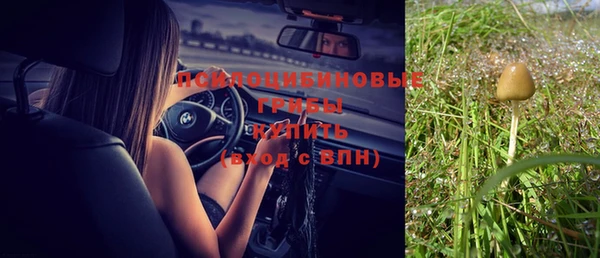 соль ск Горнозаводск
